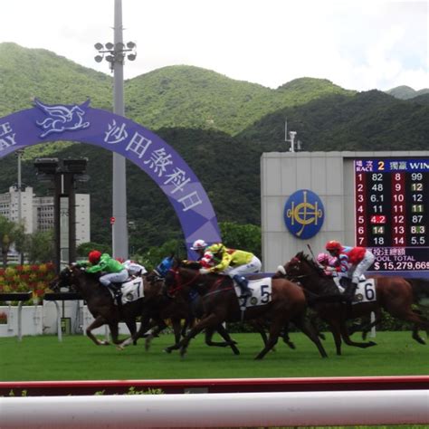 hong kong horse racing result|Results .